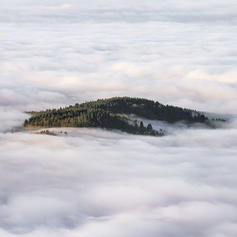 Ein von Wolken umgebener, bewaldeter Hügel, der über einer dichten Nebeldecke emporragt.