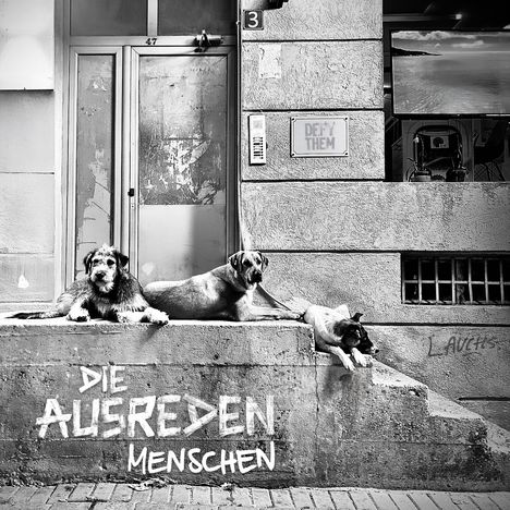 Texte: "DIE AUSREDEN MENSCHEN", "DEFY THEM".  
Drei Hunde liegen entspannt auf einer Betonstufe vor einer Tür.