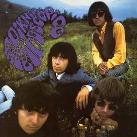 Text: "ROCK'N'ROLL DISCO". Vier Männer mit langen Haaren sitzen auf einer Wiese. Einer trägt eine Sonnenbrille.