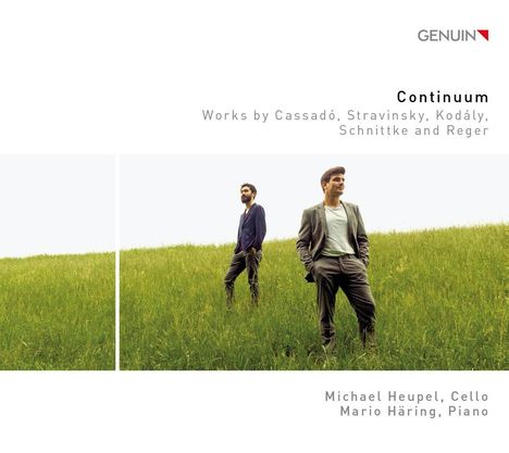 Michael Heupel & Mario Häring - Continuum, CD