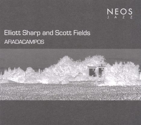 Elliott Sharp &amp; Scott Fields: Afiadacampos, CD