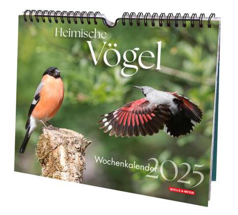 Heimische Vögel 2025, Kalender
