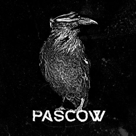 Pascow: Diene der Party (Limited Indie Edition) (White Vinyl), LP