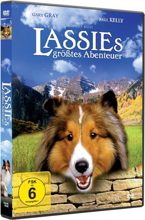 Cover/Produkt Ansicht vergrößern