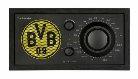 Tivoli Model One BVB-Tischradio - Monoradio BVB Edition, Technik