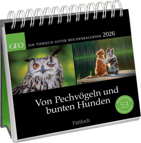 Geo: Postkartenkalender 2026: Von Pechvögeln und bunten Hunden, Kalender