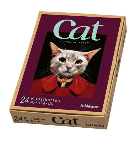 Tein Lucasson: Cat, Kunstkartenbox, Diverse