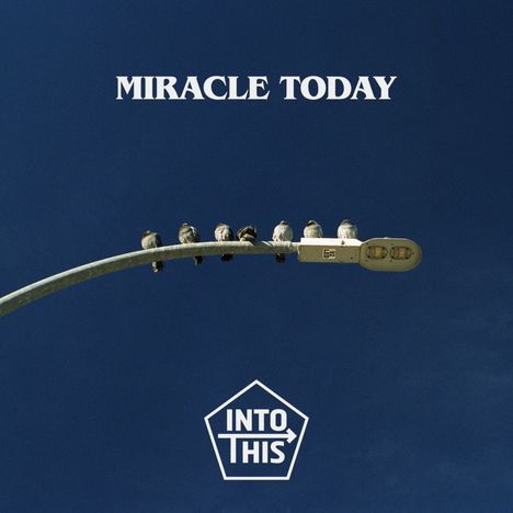 Text "MIRACLE TODAY" oben und "INTO THIS" in einem Logo unten, sieben Tauben sitzen auf einer Straßenlaterne vor blauem Himmel.
