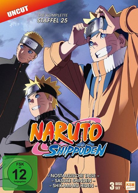 Naruto Shippuden Staffel 25, 3 DVDs