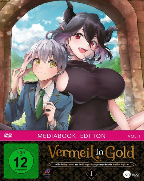 Vermeil in Gold Vol. 1 (mit Sammelschuber) (Mediabook), DVD