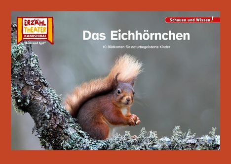 Das Eichhörnchen / Kamishibai Bildkarten, Buch