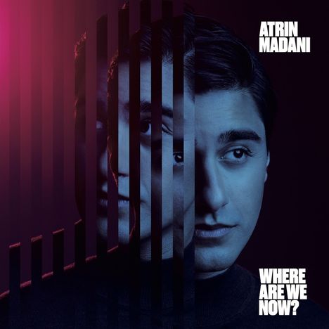 Atrin Madani: Where Are We Now?, LP