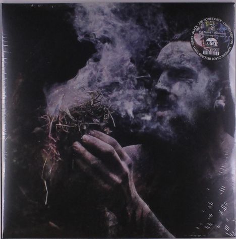 Cover/Produkt Ansicht vergrößern
