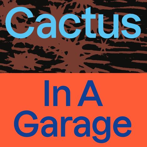 Cactus: In A Garage, LP