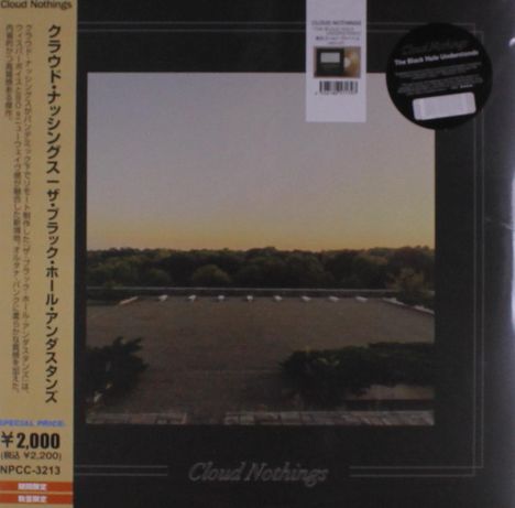 Cloud Nothings: The Black Hole Understands (Limited Price Edition) (Colored Vinyl), LP