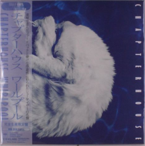 CHAPTERHOUSE, vertikaler Text rechts. Japanischer Text links. Graues Tier auf blauem Hintergrund.