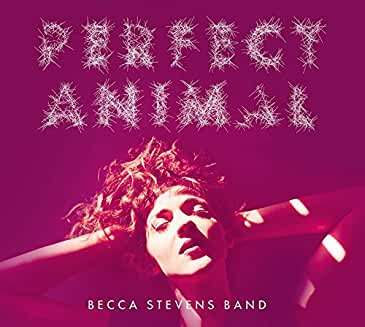 Becca Stevens (geb. 1984): Perfect Animal (Digipack), CD