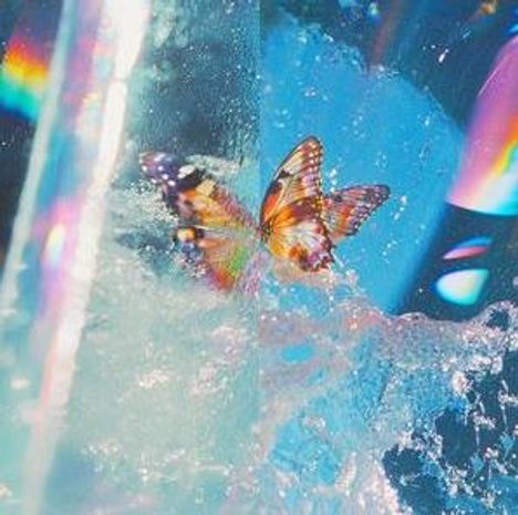 Keine Texte erkennbar. Ein bunter Schmetterling schwebt über spritzendem Wasser, umgeben von Lichtreflexionen und Regenbogenfarben.