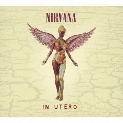 Nirvana: In Utero (20th Anniversary) (Deluxe Edition), 2 CDs