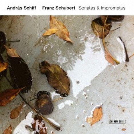 Franz Schubert (1797-1828): Klaviersonaten D.958 & D.959 (UHQ-CD), 2 CDs