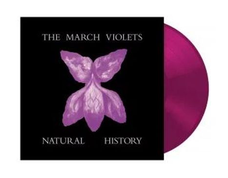 "The March Violets" und "Natural History" auf schwarzem Hintergrund mit violetter Blume und pinker Vinyl-Schallplatte.