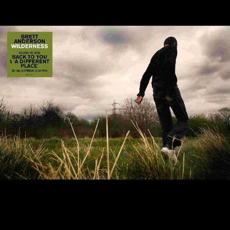 Brett Anderson: Wilderness (180g) (Translucent Vinyl), LP