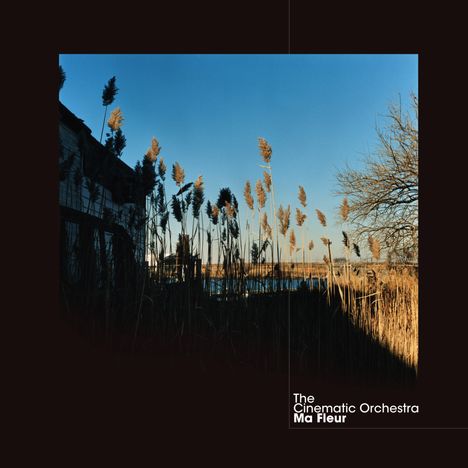 The Cinematic Orchestra: Ma Fleur (180g) (Limited Deluxe Edition), 2 LPs