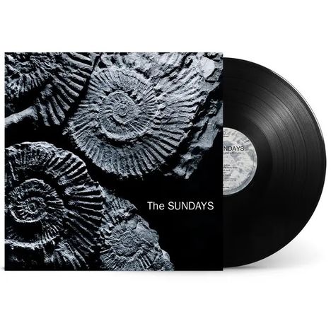 "The SUNDAYS" steht auf einem Albumcover mit Ammonitenmustern. Neben dem Cover liegt eine schwarze Schallplatte.