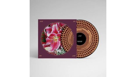 Richard Hawley: Coles Corner (20th Anniversary) (Limited Edition) (Zoetrope Picture Disc), LP