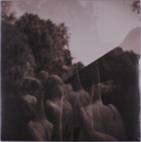 Keine erkennbaren Texte. Unscharfe Bäume und überlagerte Hände. Mystische, verschwommene Atmosphäre.