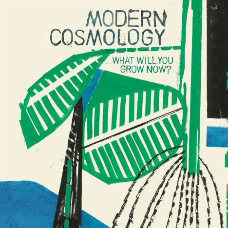 Modern Cosmology: What Will You Grow Now?, LP