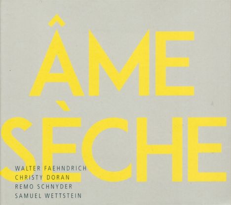 Walter Faehndrich, Christy Doran, Remo Schnyder &amp; Samuel Wettstein: Ame Seche, CD