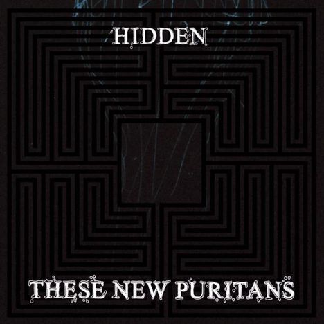 These New Puritans: Hidden, CD