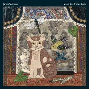 James Yorkston: I Was A Cat In A Book (10"), 2 LPs