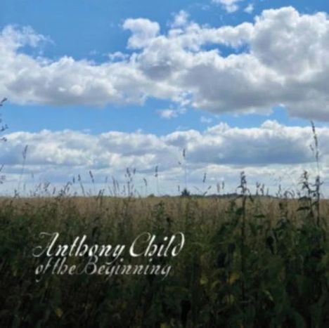 "Anthony Child of the Beginning" in stilvoller Schrift. Weite Wiese mit hohem Gras und darüber ein Himmel mit Wolken.