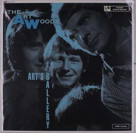 The Artwoods: Art's Gallery (mono), LP