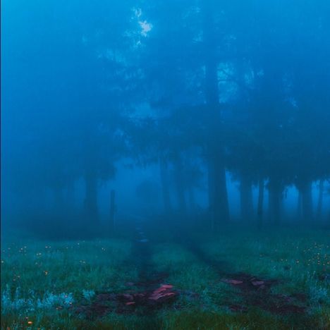 Commune, LP