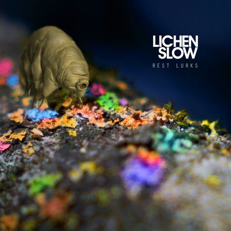 Lichen Slow: Rest Lurks, CD