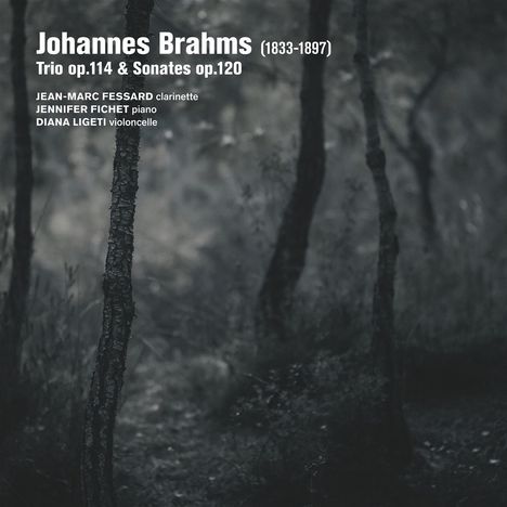 Johannes Brahms (1833-1897): Sonaten für Klarinette & Klavier op.120 Nr.1 & 2, CD