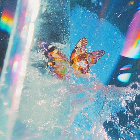 Leuchtender Schmetterling in einem regenbogenfarbenen Wasserspiel auf blauem Hintergrund.