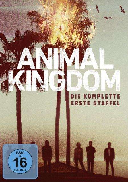 Animal Kingdom Staffel 1, 2 DVDs