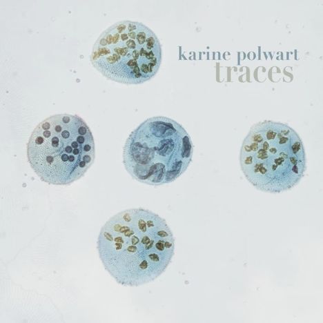 Karine Polwart: Traces, CD