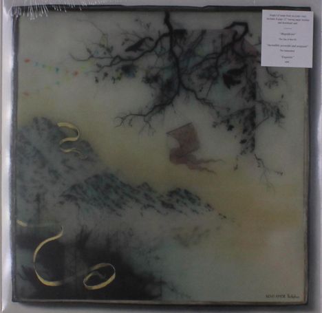 Novo Amor: Birthplace, LP