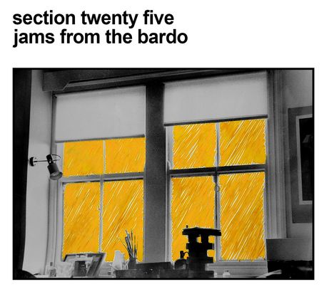 Section 25: Jams From The Bardo, CD