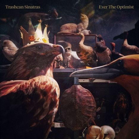„Trashcan Sinatras“ links oben, „Ever The Optimist“ rechts oben. Ein Vogel trägt eine Krone, umgeben von ausgestopften Tieren.