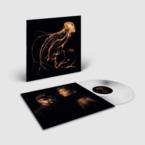 Royal Blood: Back To The Water Below (Limited Indie Edition) (Clear Vinyl), LP