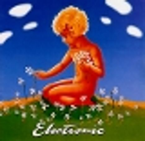 Electronic: Raise The Pressure, 2 LPs