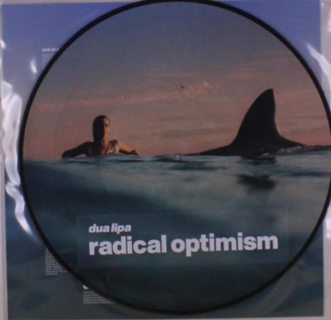 „dua lipa radical optimism“ ist der Text. Eine Person schwimmt neben einer großen Haiflosse im Wasser.