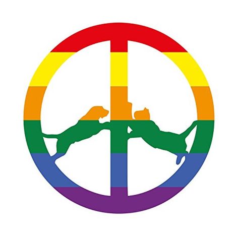 Hype Williams: Rainbow Edition, CD