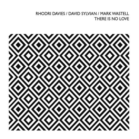 Rhodri Davies, David Sylvain &amp; Mark Wastell: There Is No Love, CD